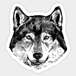 Husky Sticker